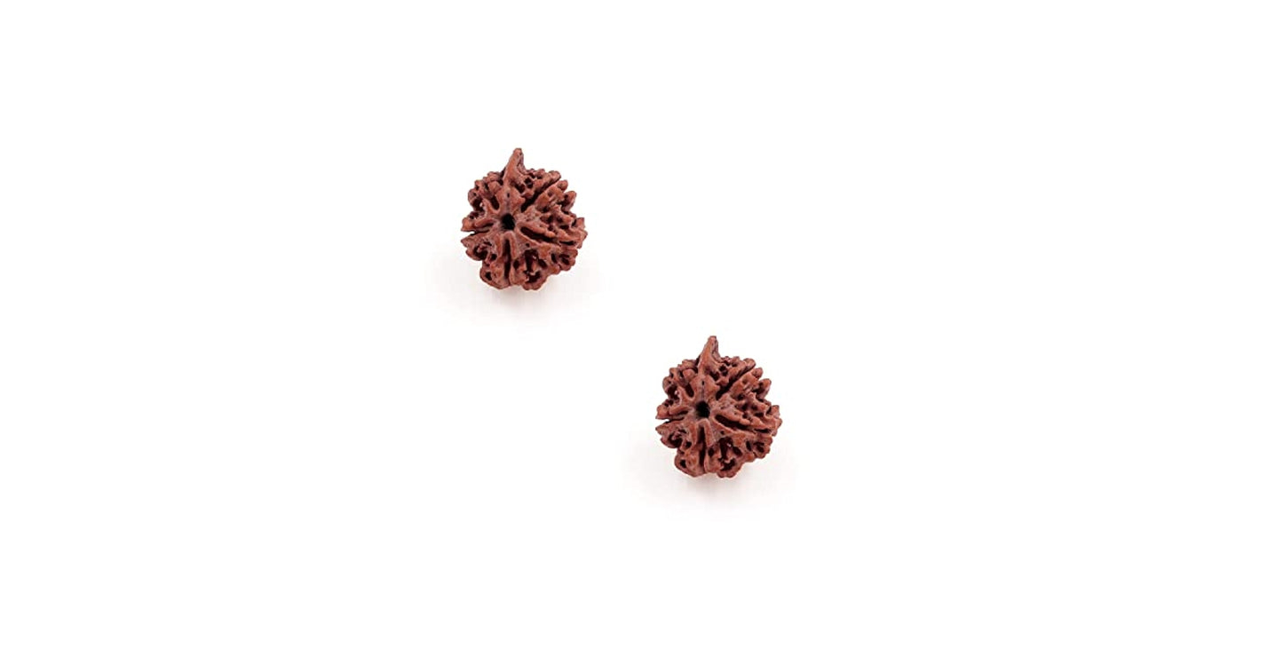 Ganesh Rudraksha