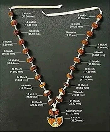 1 to 21 mukhi nepali rudraksha beads kantha