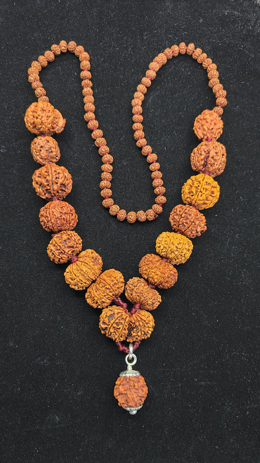 1 to 14 Mukhi, Ganesha or GauriShankar Rudraksha Siddha Mala Nepal - Lab Certified | Original Rudraksha Beads Necklace