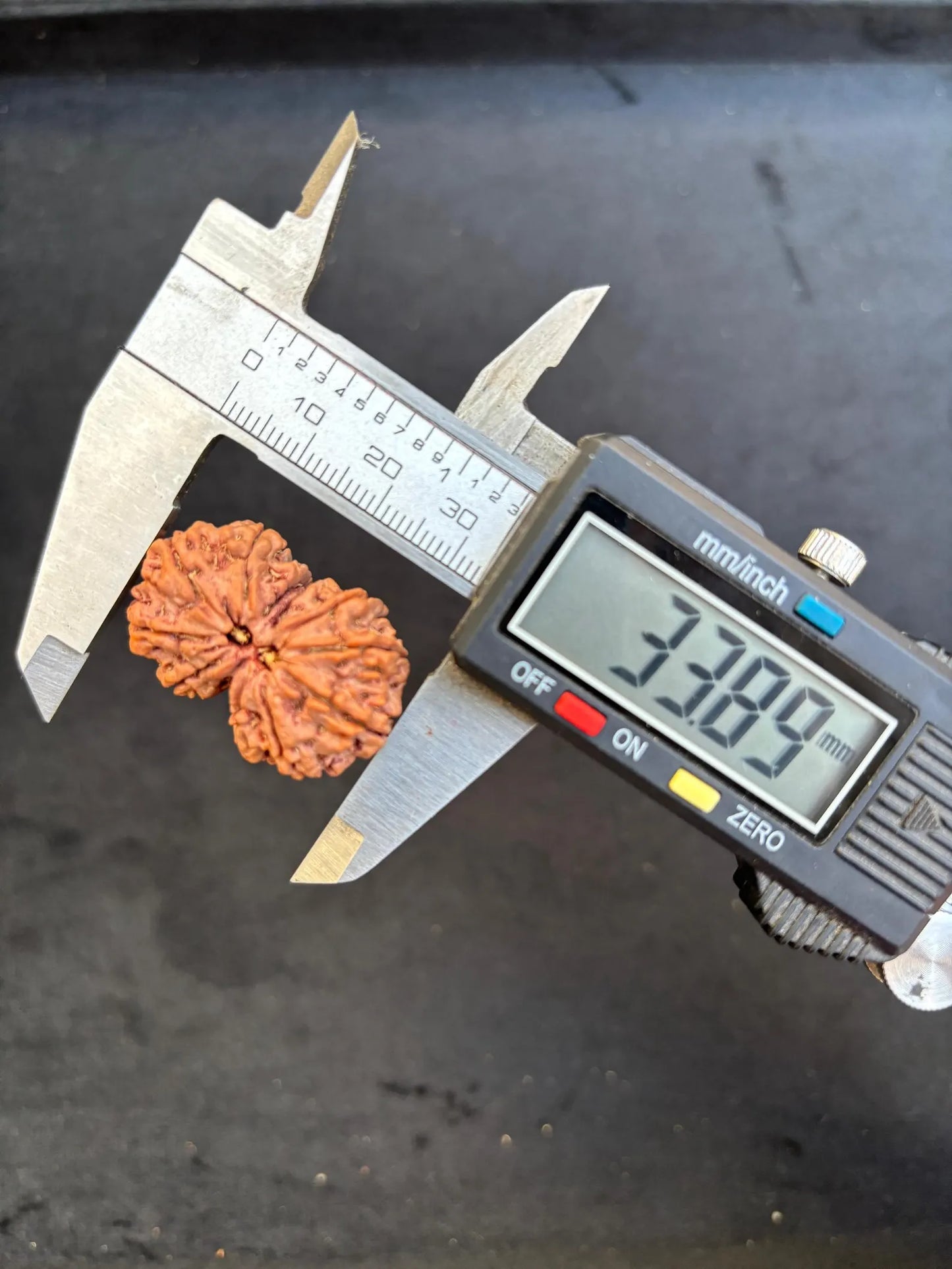 Gaurishankar Rudraksha