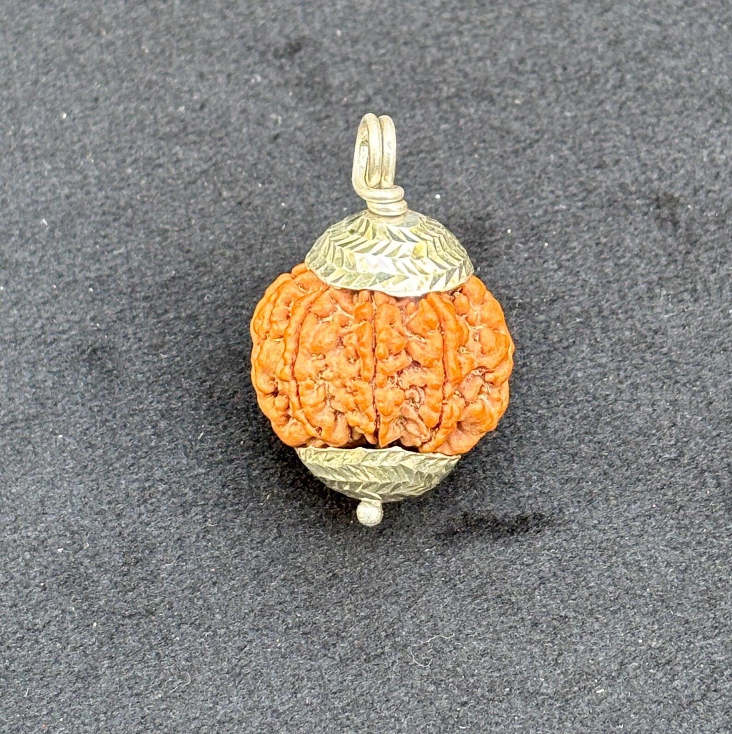 Eleven Mukhi Collector Rudraksha