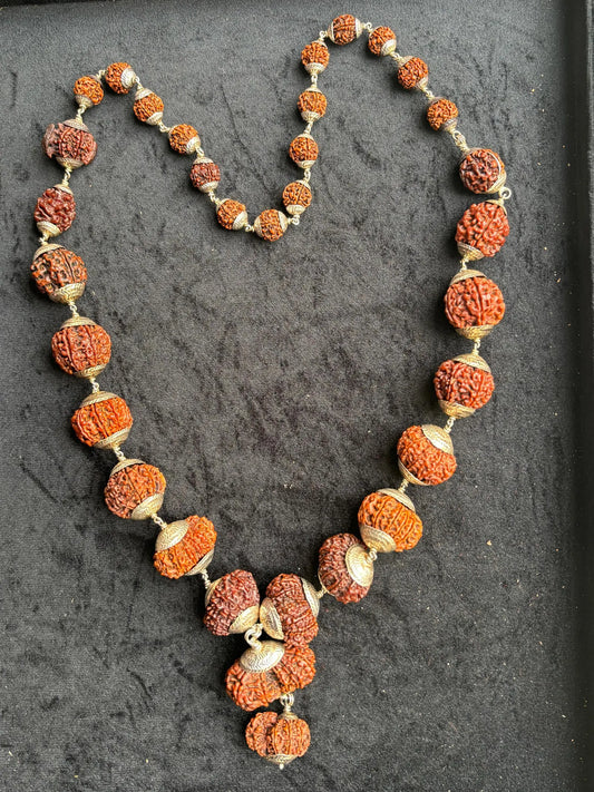 Sarva Siddha Mala,1 to 16 Mukhi with Gaurishankar and Ganesh Rudraksha Nepalese Beads,Silver Capping